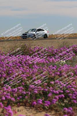 media/Jan-08-2023-SCCA SD (Sun) [[8f6a5b9391]]/Intermediate Group/Session 2 (Short Straight)/